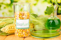 Lepton biofuel availability